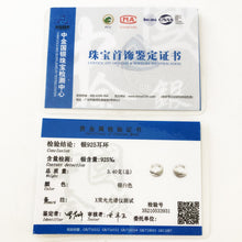 Carregar imagem no visualizador da galeria, Brincos de Argola Articulada em Forma de Gota de Água em Prata Esterlina 9.25 Pura